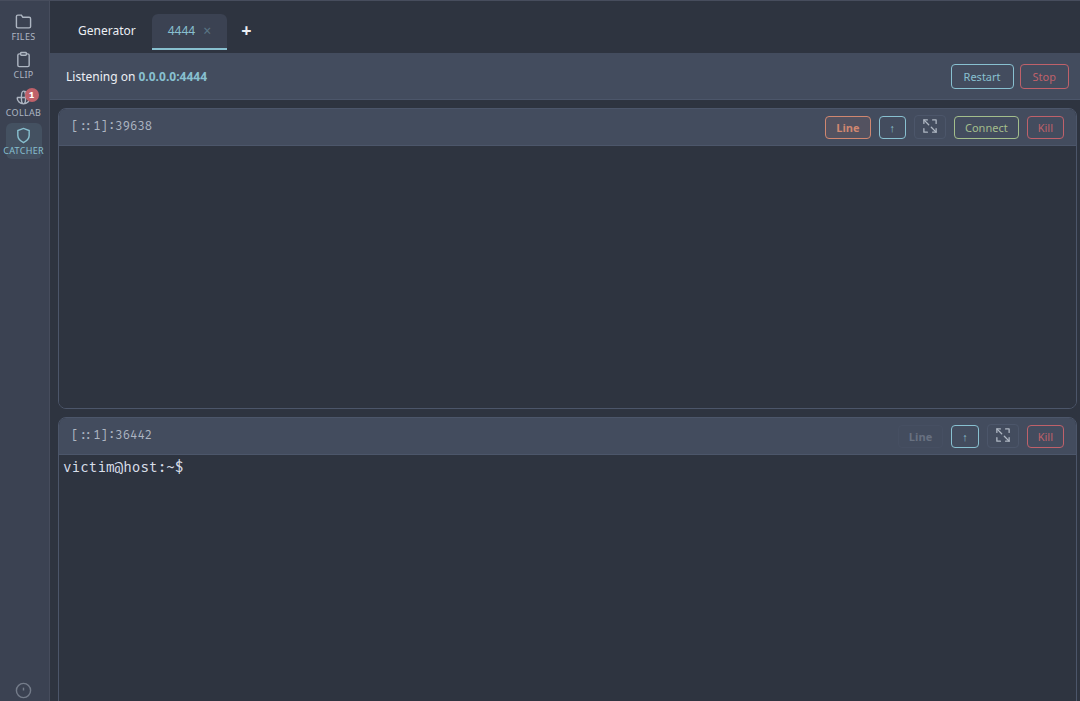 Catcher - session connected